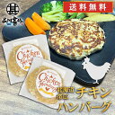 五日市 チキンハンバーグ 150g （2個セット）送料無料 冷凍ハンバーグ 帯広 鶏肉 ハンバーグの ...