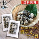 北海道 浜ゆでツブ貝 250g(2パックセット)送料無料 灯台つぶ 釧路産 ボイル つぶ貝 おつまみ 塩茹で ご当地 お土産 お取り寄せ プレゼント ギフト 贈...