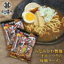 みなみかわ製麺 オホーツクの味噌ラーメン (2袋セット) 三夜干し 低温熟成乾燥麺 北海道土産 北海道味噌ラーメン 熟成味噌ラーメン ご当地ラーメン プレゼント ギフト 贈答 お返し 贈答品 御歳暮 お歳暮 お中元 母の日 父の日