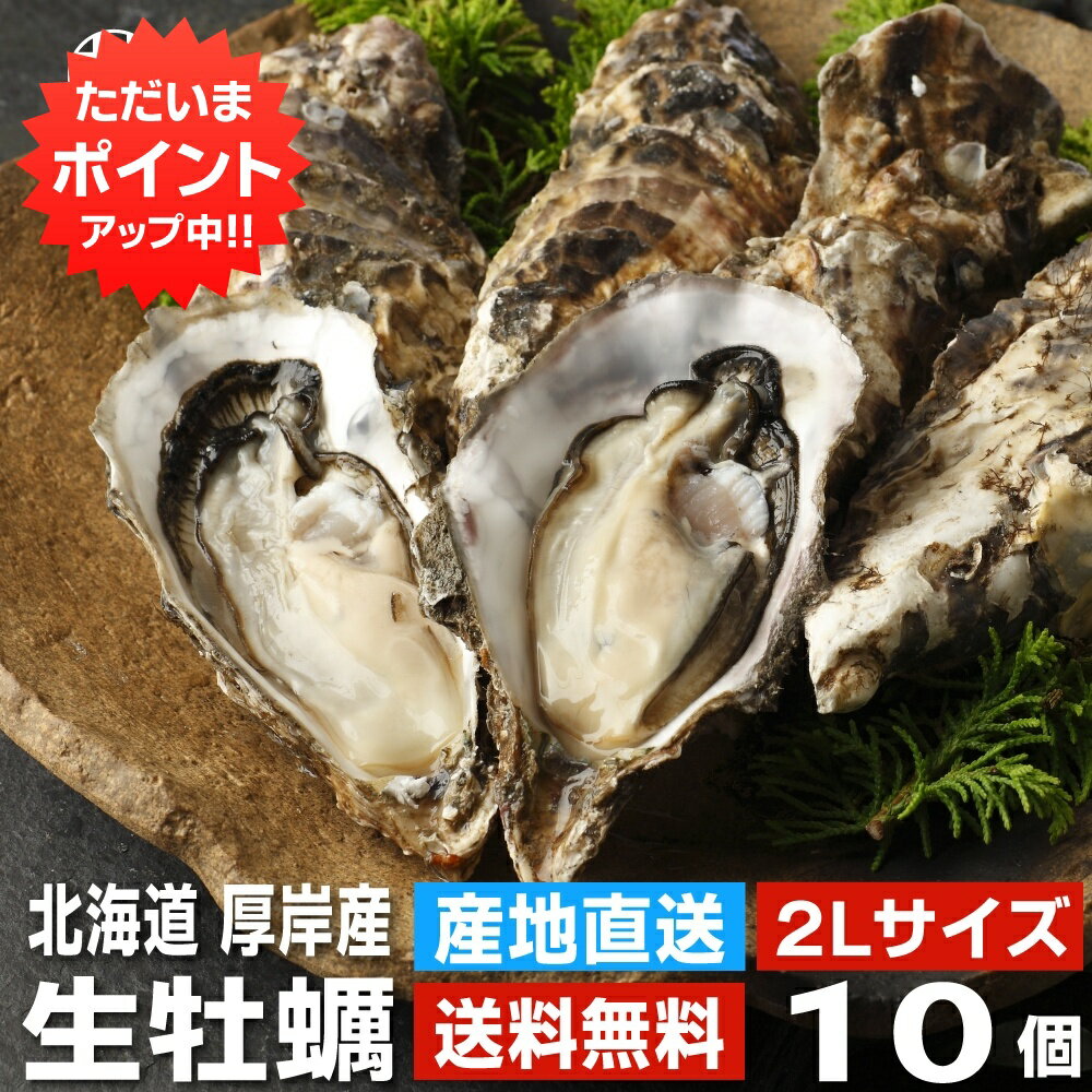 【18の日P5倍！】生牡蠣2Lサイズ10個 約1.3kg 送料無料 まるえもん 北海道 厚岸産 殻付き 産地直送 生食用 牡蠣 かき カキ 生カキ 生かき 生ガキ 生がき ご当地 お土産 お取り寄せ プレゼント ギフト 贈答 御歳暮 お歳暮 お中元