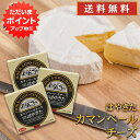 【マラソン期間中P2倍!】はやきたカマンベールチーズ 125g (3個セット) 北海道 安平町 夢民舎 ご当地 お土産 お取り寄せ プレゼント ギフト 贈答 御...