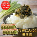 【マラソン期間中はP2倍!】行者にんにく醤油漬 150g (10個セット) 瓶詰 北海道産 行者ニンニク しょうゆ漬 ごはんのおかず おつまみ 肴 ご当地 お土...