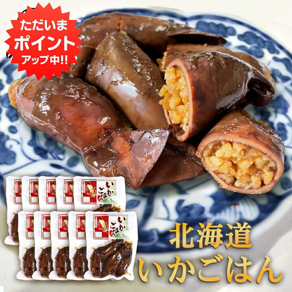 【マラソン期間中P2倍！】お徳用いかごはん 250g（10個