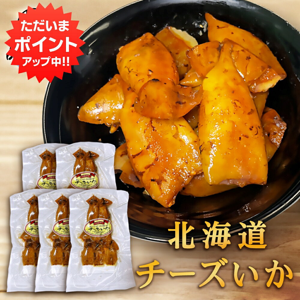 スーパーSALE期間中ポイントアップ！チーズいか 100g（5個セット） 珍味 北海道 いか イカ ゲソ カマンベールチーズ おつまみ 真イカ ご当地 お土産 お取り寄せ