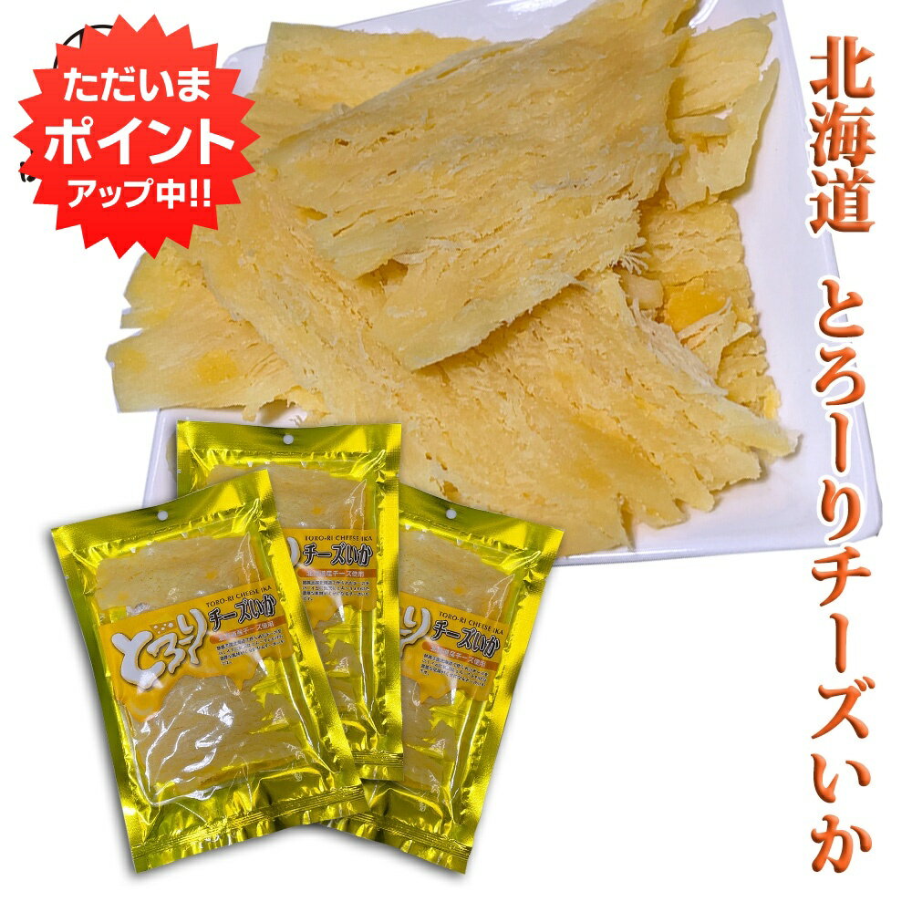 【マラソン期間中P2倍！】とろーり チーズいか 50g（3個セット） 珍味 北海道 いか イカ チーズ おつまみ ご当地 お土産 お取り寄せ プレゼント ギフト 贈答 御中元 お中元 母の日 父の日