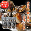 【GW期間中はP5倍!】北海道 網走湖産 冷凍しじみ500g (3個セット) シジミ 味噌汁の具に 冷凍 ご当地 お土産 お取り寄せ プレゼント ギフト 贈答 ...