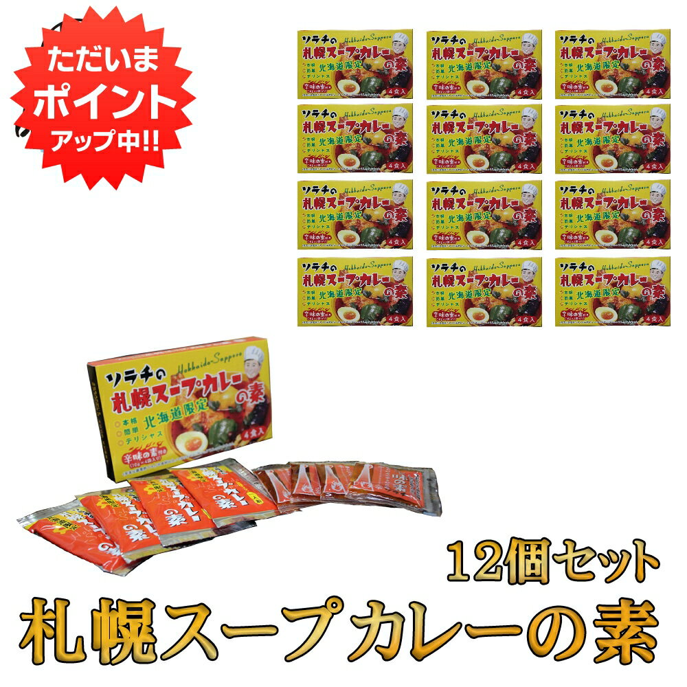 【マラソン期間中P2倍！】ソラチの札幌スープカレーの素 4食入り （12箱セット） ◎ 北海道限定 