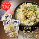 【マラソン期間中はP2倍!】炊き込みごはんの素『さけ』2合用 (2個セット) 炊飯器で簡単 北海道 昆布 しいたけ かつお 3種の出汁 鮭 サケ しゃけ ご当地...