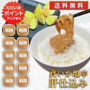 【只今ポイント5倍!】真いか塩辛 肝仕込み 100g(10個セット) 送料無料 北海道産 イカゴロ塩辛 おつまみ イカの塩辛 海鮮珍味 しおから ご当地 お土産 お取り寄せ プレゼント ギフト 贈答 御中元 お中元 御歳暮 お歳暮