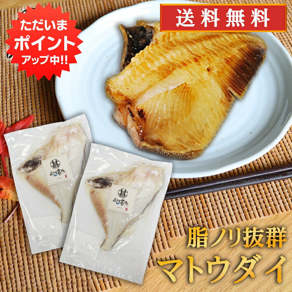 【マラソン期間中P5倍！】マトウダイ 干物 （2枚セット）送料無料 まとう鯛 白身魚 高級魚 脂乗り抜群 ..