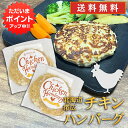 【マラソン期間中P2倍！】五日市 チキンハンバーグ 150g （2個セット）送料無料 冷凍ハンバーグ ...