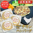 【マラソン期間中P2倍！】五日市 チキンハンバーグ 150g （3個セット） 送料無料 冷凍ハンバー ...