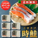 【GW期間中はP2倍!】時鮭 切身 4切入 (5袋セット) 送料無料 切り身 時知らず ときしらず トキサケ シャケ 海鮮 焼き魚 プレゼント ギフト 贈答 お...