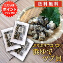 【GW期間中はP5倍!】北海道 浜ゆでツブ貝 250g(3パックセット)送料無料 灯台つぶ 釧路産 ボイル つぶ貝 おつまみ 塩茹で ご当地 お土産 お取り寄せ...