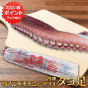 【マラソン期間中P2倍!】冷凍 ボイルタコ足 1本 約800g 北海道 オホーツク海産 特大 1本まるごと 煮たこあし ボイル済 プレゼント ギフト 贈答 御中...