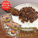 【SS期間中ポイント2倍!】GARAKU監修 キーマカレー風そぼろふりかけ (2袋セット) ◎ 1袋 40g 和風だし 行列の出来るスープカレー店 調味料 北海...
