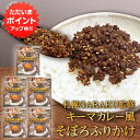 【SS期間中ポイント2倍!】GARAKU監修 キーマカレー風そぼろふりかけ (4袋セット) ◎ 1袋 40g 和風だし 行列の出来るスープカレー店 調味料 北海...