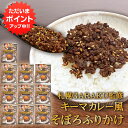 【マラソン期間中P2倍!】GARAKU監修 キーマカレー風そぼろふりかけ (10袋セット) ◎ 1袋 40g 和風だし 行列の出来るスープカレー店 調味料 北海...