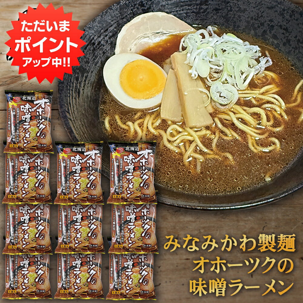 【BlackFriday期間中はP2倍！】みなみかわ製麺 オホーツクの味噌ラーメン （10袋セット） 三夜干し 低温熟成乾燥麺 北海道土産 北海道味噌ラーメン 熟成味噌ラーメン ご当地ラーメン プレゼント ギフト 贈答 お返し 贈答品 御歳暮 お歳暮 お中元