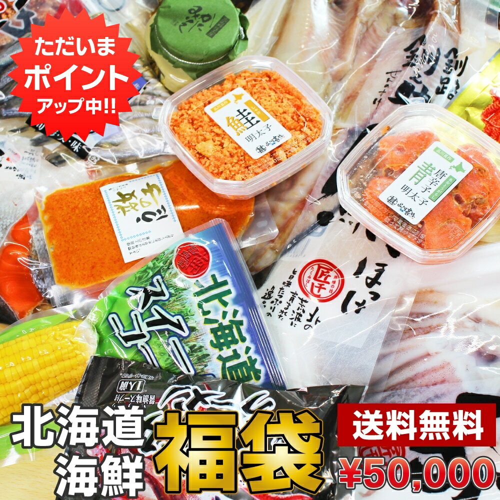 【SS期間中P5倍!】送料込み50000円福袋2023 当店の人気商品を店長がセレクト※中身のご指定はできません。 海鮮 北海道 復興 食品 プレゼント ギフト 贈答 お返し 贈答品 お歳暮 御歳暮 敬老の日のサムネイル