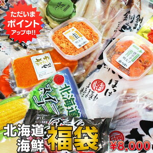 【18の日P2倍！】8000円福袋2023 当店の人気商品を店長がセレクト※中身のご指定はできません。おたのしみ 海鮮 北海道 復興 食品 ご当地 お土産 お取り寄せ プレゼント ギフト 贈答 御歳暮 お歳暮 お中元