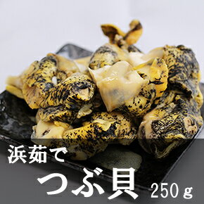 浜茹で つぶ貝（250g）