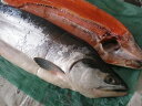 北海道　釧路産◆超特価◆生　紅鮭　薄塩　2Kg前後　 令和6年の新物【獲りたて】 ベニ鮭は鮭の仲間の中でも 一番美味しいといわれております。 薄塩にして食べやすく致しております。 紅鮭を2枚におろし処理しやすくしております。 自由な大きさに切って食べてください。 最高に美味しい薄塩紅サケです。　 業務用も取り扱い中 【名称】 紅鮭　薄塩 【内容量】 　紅鮭　薄塩　2Kg前後 【賞味期限】 袋に記載 【保存方法】 　冷凍 【原材料】 　紅鮭 【販売者】 有限会社トライ・ユウ 北海道釧路市春採7丁目6−7