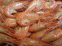 北海しまえび 昆布森仙鳳趾 Sサイズ 500g