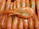 北海しまえび 昆布森仙鳳趾 Mサイズ 500g