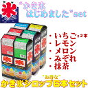スミダ飲料 かき氷シロップ セット 1000ml x6本 1L 6本 氷みつ フラッペ サップ JAN:4901741013020 かき氷 お祭り 夏祭り 縁日 学園祭 文化祭 保育園 幼稚園 小学校 屋台 夜店 バザー 学園祭 4901741013006 4901741013020 4901741013013 4901741013044 4901741063247
