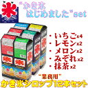 業務用 スミダ飲料 かき氷シロップ セット 1000ml x12本 1L 氷みつ フラッペ サップ JAN:4901741013020 かき氷 お祭り 夏祭り 縁日 学園祭 文化祭 保育園 幼稚園 小学校 屋台 夜店 バザー 学園祭 4901741013006 4901741013020 4901741013013 4901741013044 4901741063247