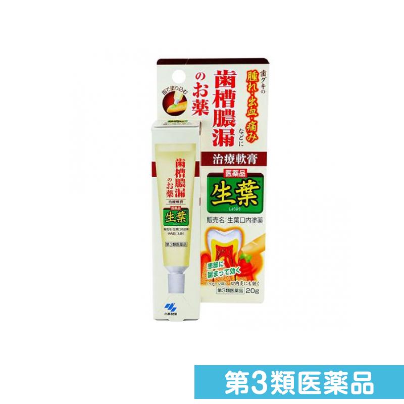 第3類医薬品 生葉(しょうよう)口内塗薬 軟膏タイプ 20g