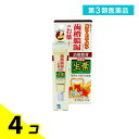 第3類医薬品 生葉(しょうよう)口内塗薬 軟膏タイプ 20g 4個セット