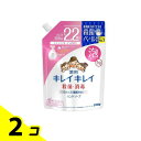 キレイキレイ薬用泡ハンドソープ シトラスフルーティの香り 詰め替え用 大型サイズ 450mL 2個セット