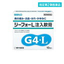 指定第2類医薬品 ジーフォーL注入軟膏 10個入