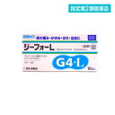 指定第2類医薬品 ジーフォーL〈坐剤〉 10個入