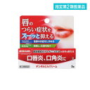 指定第2類医薬品 デンタルピルクリーム 5g