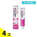 第3類医薬品 デントヘルスBb ブラッシング歯槽膿漏薬 90g 4個セット