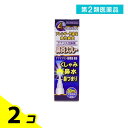 第2類医薬品 ケナリス点鼻薬 30mL 2個セット