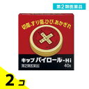第2類医薬品 キップパイロール-Hi 40g (缶) 2個セット