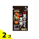 小林製薬 熟成黒にんにく 黒酢もろみ 30日分 90粒 2個セット