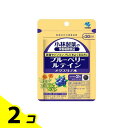 小林製薬 ブルーベリー ルテイン メグスリノ木 30日分 60粒 2個セット