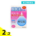 第2類医薬品 腎仙散(ジンセンサン) 12包 2個セット