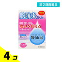 第2類医薬品 腎仙散(ジンセンサン) 12包 4個セット