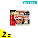 第2類医薬品 新インペタン温感 24枚 2個セット