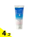 大洋製薬 ワセリンHGチューブ 100g 4個セット