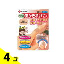 ニチバン あかぎれ保護バン スポット用 30枚 (AGB30S) 4個セット