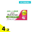 第3類医薬品 ウィズワン坐剤 10個 4個セット