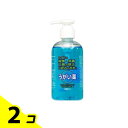 エスコン うがい薬CP 250mL 2個セット