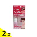 ハナぴゅあ 鼻洗浄器(スプレー+洗浄液) 100mL 2個セット
